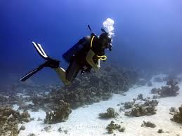 “4-hour diving trip on a 42-foot boat (“Enclosed boat”)