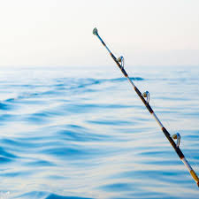 “4-hour fishing trips on a 29-foot boat (hook-and-line fishing)