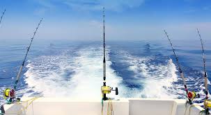 Fishing trips